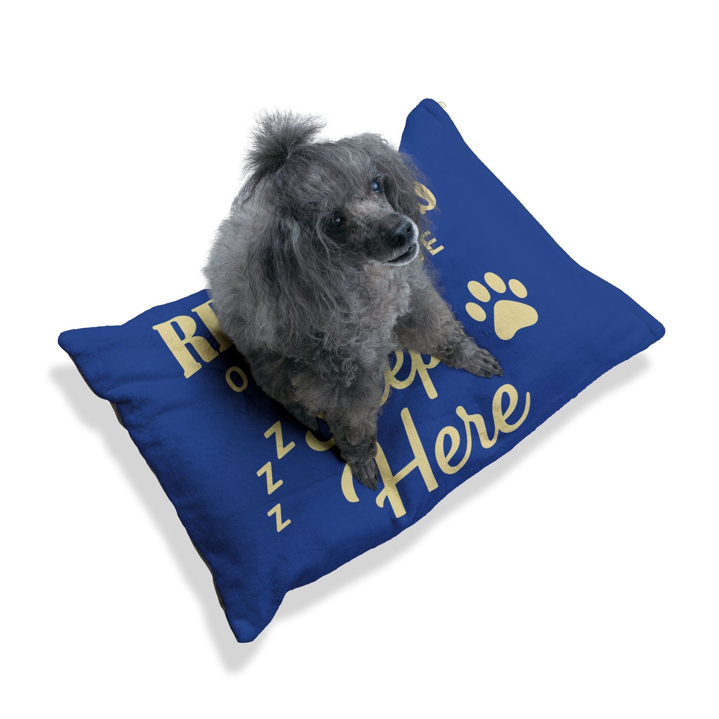 Cozy Pet Bed, The Real Boss Sleeps Here - in Blue