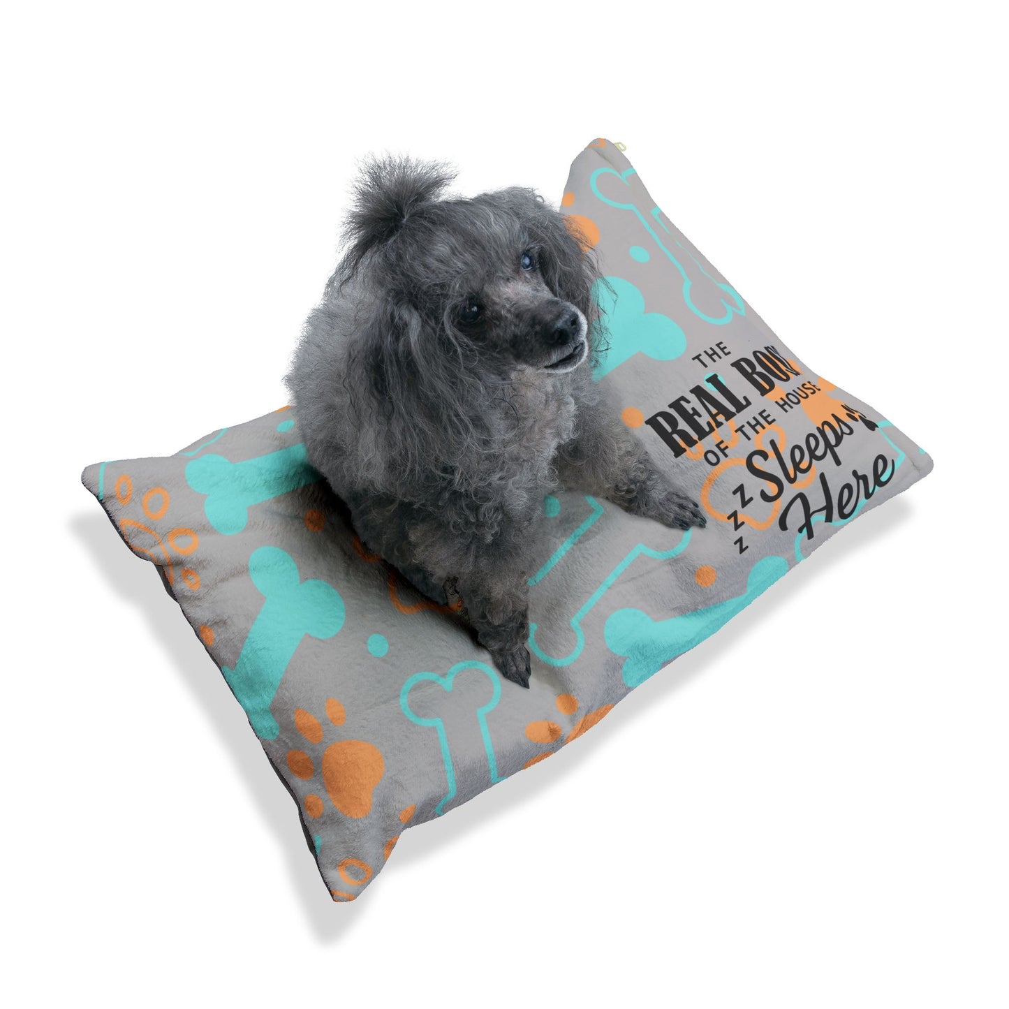 Cozy Pet Bed, The Real Boss Sleeps Here!